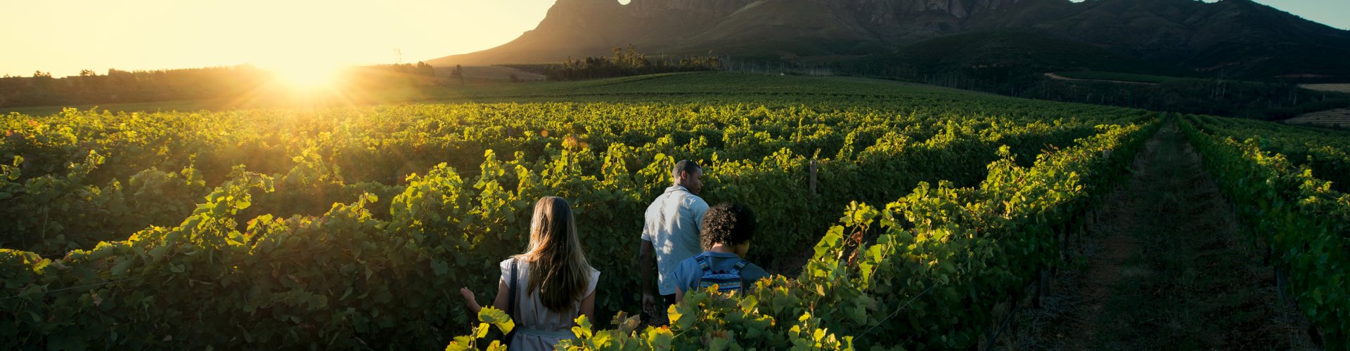 Wijnautoreis Zuid-Afrika Wijnautoreis Zuid-Afrika