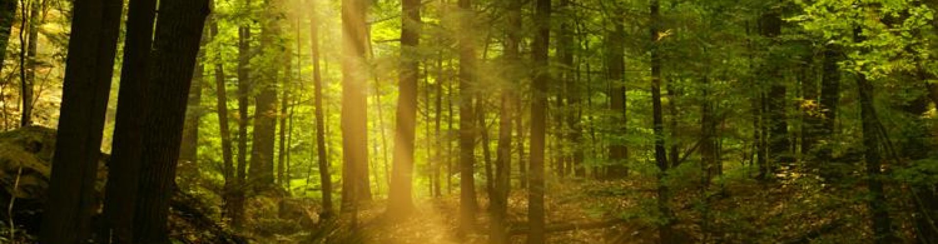 conflictvaardigheden ontwikkelen van conflict vaardigheden